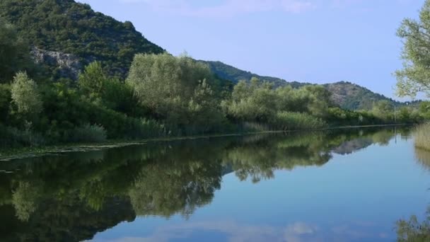 İşkodra Gölü. Karadağ — Stok video
