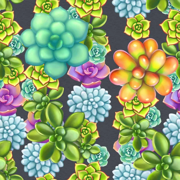 Nahtloses Muster mit Sukkulenten. Schöner floraler Druck. — Stockfoto