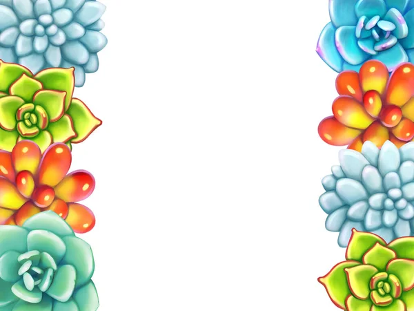 Цветочная граница. Суккуленты устроены по форме рамы — стоковое фото