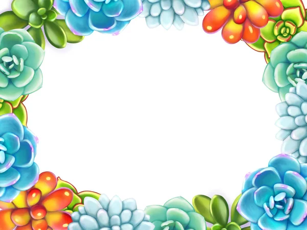 Frontera Floral. Suculentas dispuestas en forma de marco —  Fotos de Stock