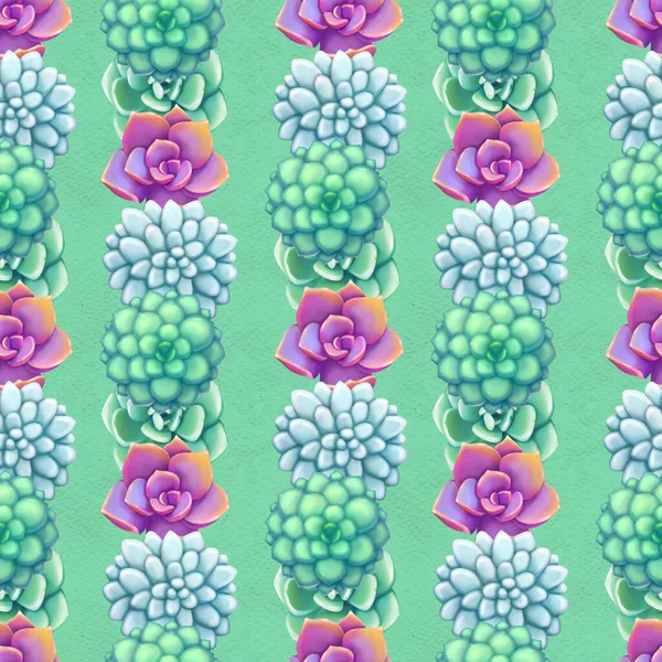 Seamless pattern with succulents. Beautiful floral print. — Stock Photo, Image