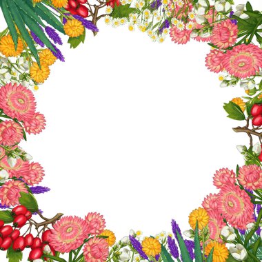 El yapımı tıbbi bitki çerçevesi. Şifalı bitkiler sınırında. beyaz arkaplanda izole