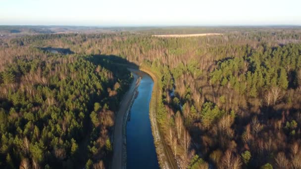 Flyger ovanför vattenkanalen i skogen. Flygbilder med drönare — Stockvideo