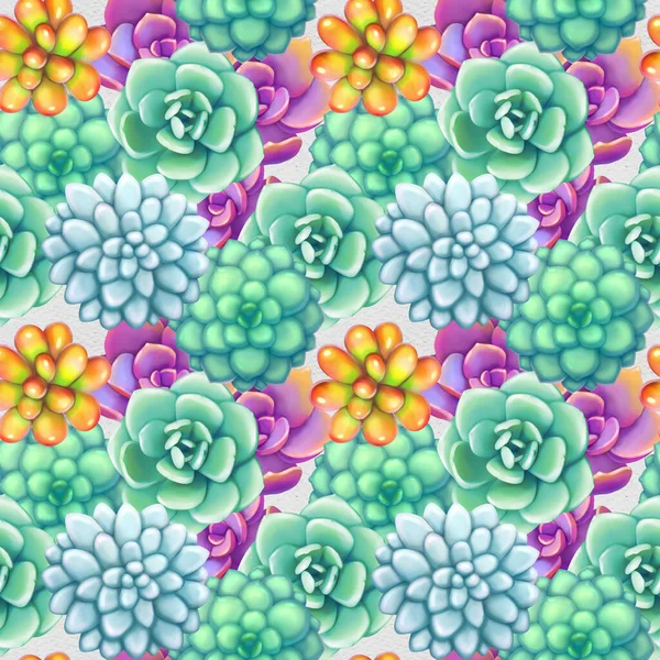 Seamless pattern with succulents. Beautiful floral print.