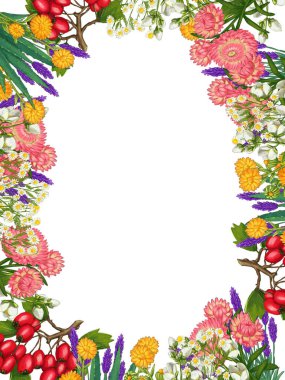 El yapımı tıbbi bitki çerçevesi. Şifalı bitkiler sınırında. beyaz arkaplanda izole