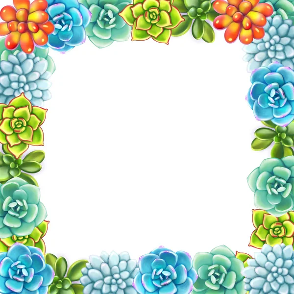 Floral Border. Succulents arranged un a shape of frame — Stock Photo, Image