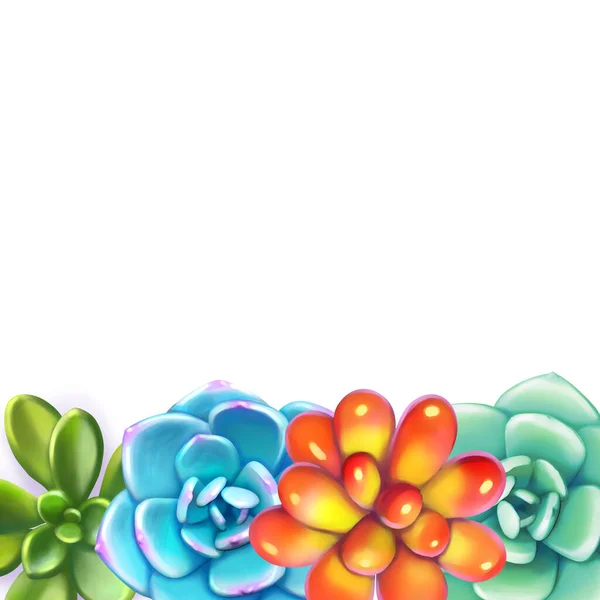 Virágos Határ. Succulents rendezett un alakja keret — Stock Fotó