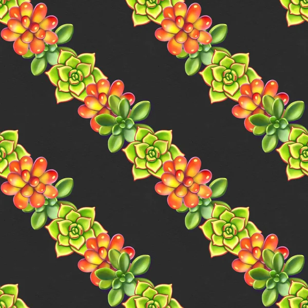 Seamless pattern with succulents. Beautiful floral print. — Stock Photo, Image