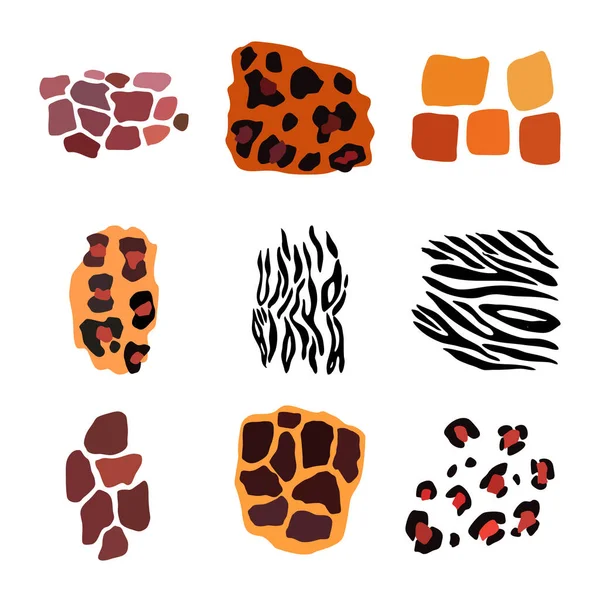 Wild animal set. Jaguar, leopard, zebra, giraffe, tiger and cheetah print. — Stock Vector