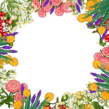 El yapımı tıbbi bitki çerçevesi. Şifalı bitkiler sınırında. beyaz arkaplanda izole