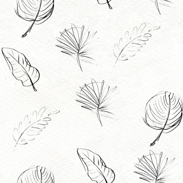 Feuilles tropicales graphiques noir et blanc motif sans couture. — Photo