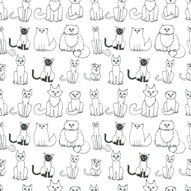 Kedilerde kusursuz desen