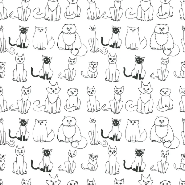 Kedilerde kusursuz desen