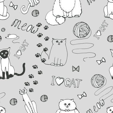 Kedilerde kusursuz desen