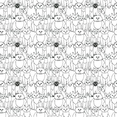 Kedilerde kusursuz desen