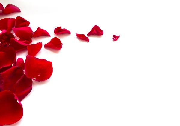 Rose Petals Border — Stock Photo, Image