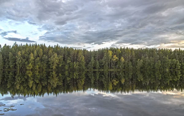 Nehir orman ve bulutlar yansıması