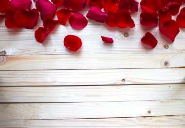 Gül yaprakları sınırı