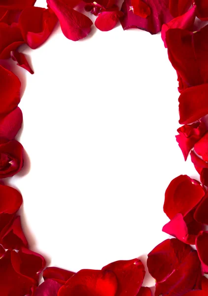 Rahmen aus Rosenblättern — Stockfoto