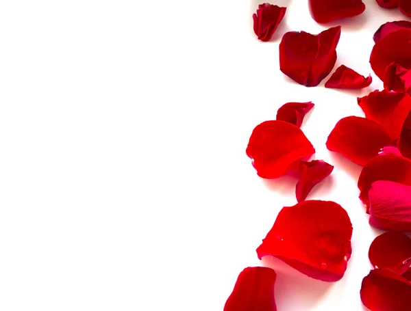 Rose Petals Border — Stock Photo, Image