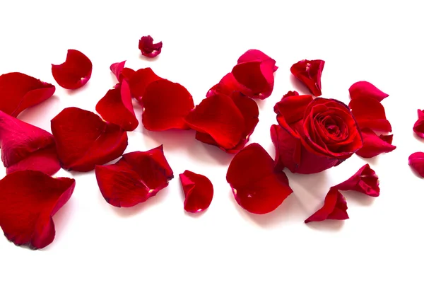 Rose Petals Border — Stock Photo, Image