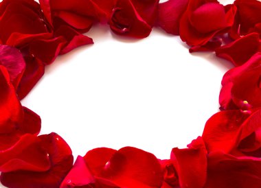 gül yaprakları ile yapılan çerçeve