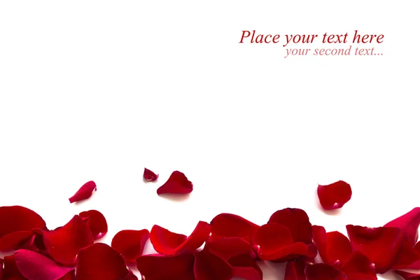 Rose Petals Border — Stock Photo, Image