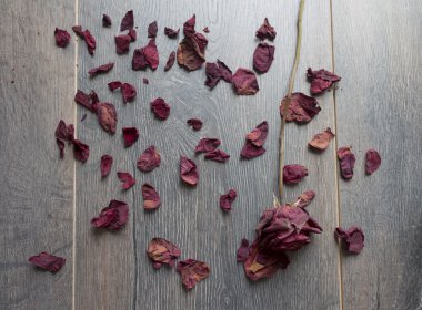 Kuru gül yaprakları 