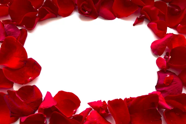 Frame made of Rose Petals — Stock Photo, Image