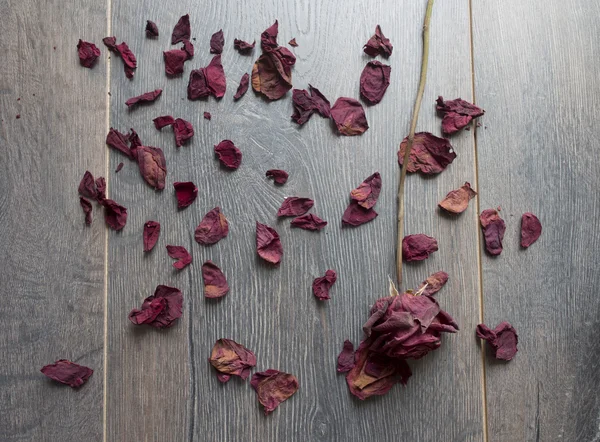 Сухие лепестки роз — стоковое фото