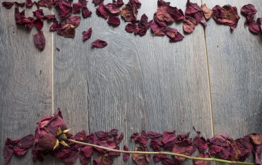 Kuru gül yaprakları 