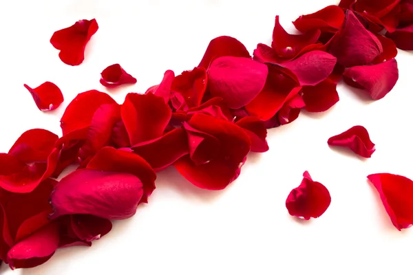 Rose Petals — Stock Photo, Image