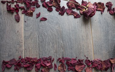 Kuru gül yaprakları 
