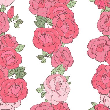 beyaz zemin üzerine pembe Gül.