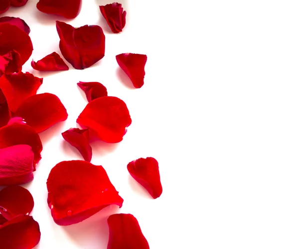 Rose Petals Border — Stock Photo, Image