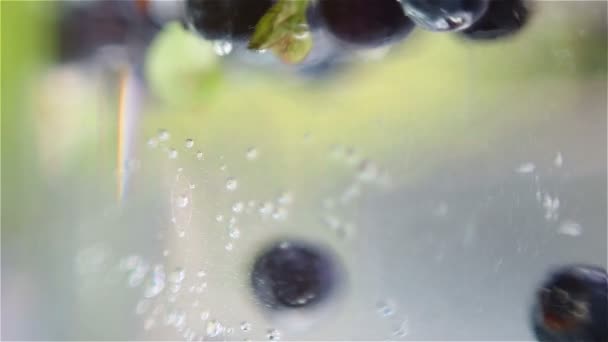 Mixed berries falling down in water — Stock Video