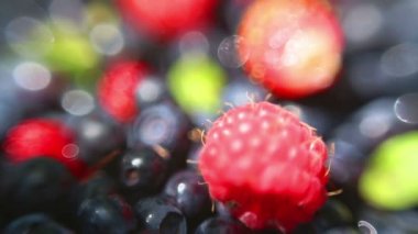 taze yaban mersini makro