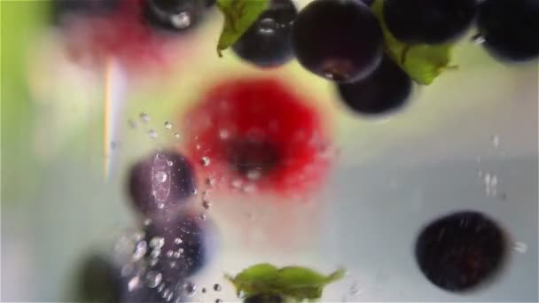 Смешанные ягоды падают в воду — стоковое видео