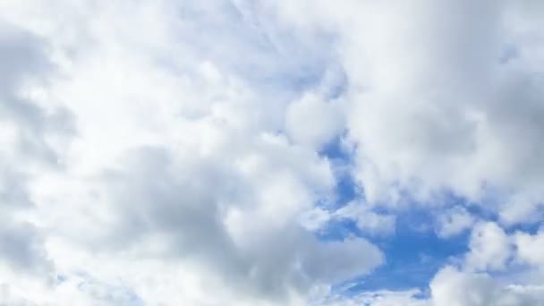 Las nubes se elevan por toda la pantalla. Caducidad — Vídeos de Stock