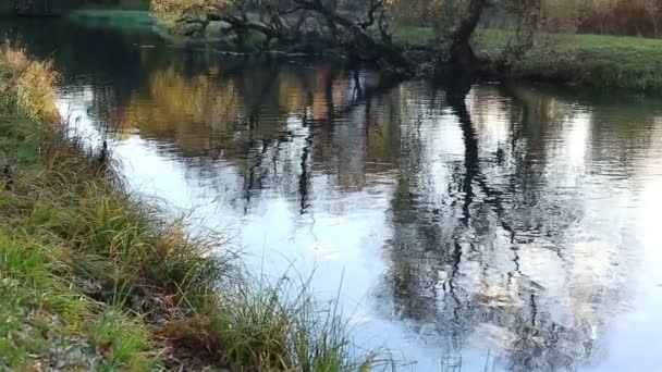 Río pequeño. Movimiento de cámara — Vídeos de Stock