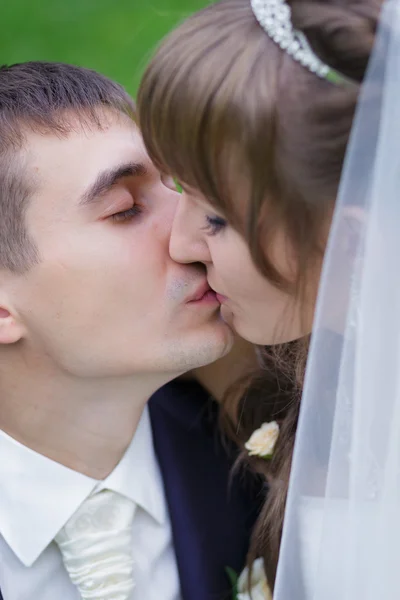 Bride and groom are kissing Royalty Free Stock Images