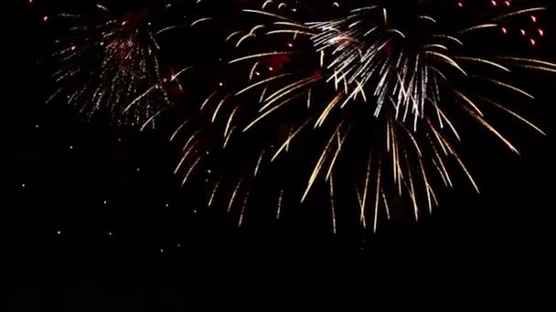 Feux d'artifice colorés dans le ciel nocturne — Video