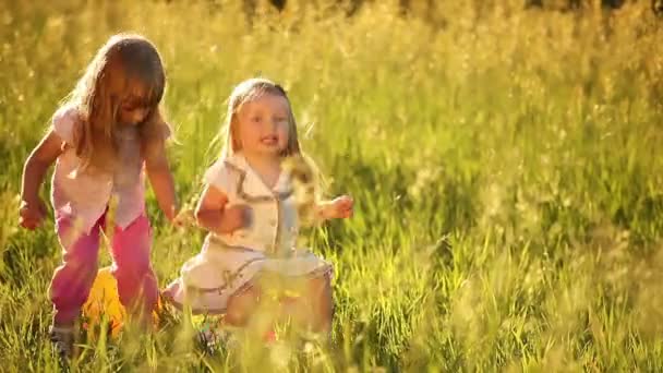 Duas crianças pulam na bola no prado — Vídeo de Stock