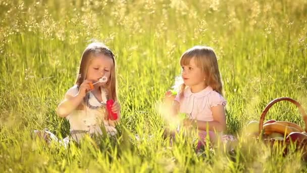 Zwei kleine Mädchen auf der Wiese — Stockvideo