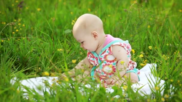 Bebé sentado en el prado — Vídeo de stock
