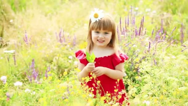 Chica oliendo una flor amarilla . — Vídeos de Stock