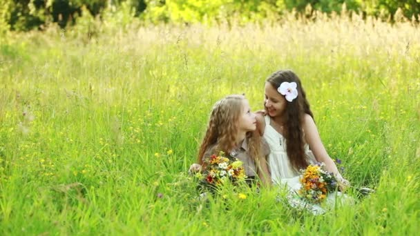 Sisters sitting on the grass — Stock Video