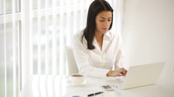 Femme d'affaires assis au bureau en utilisant un ordinateur portable — Video