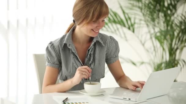 Girl sitting at office using laptop — Stock Video