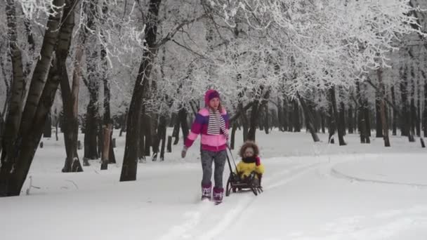 Mère tire le traîneau — Video